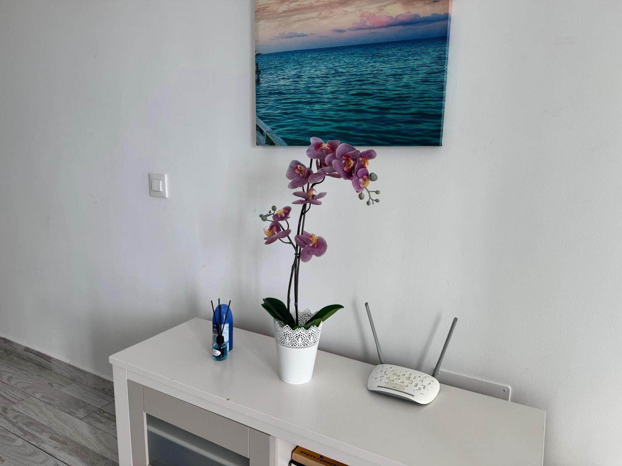 Stunning Apartments With Pool Tenerife 아데제 외부 사진