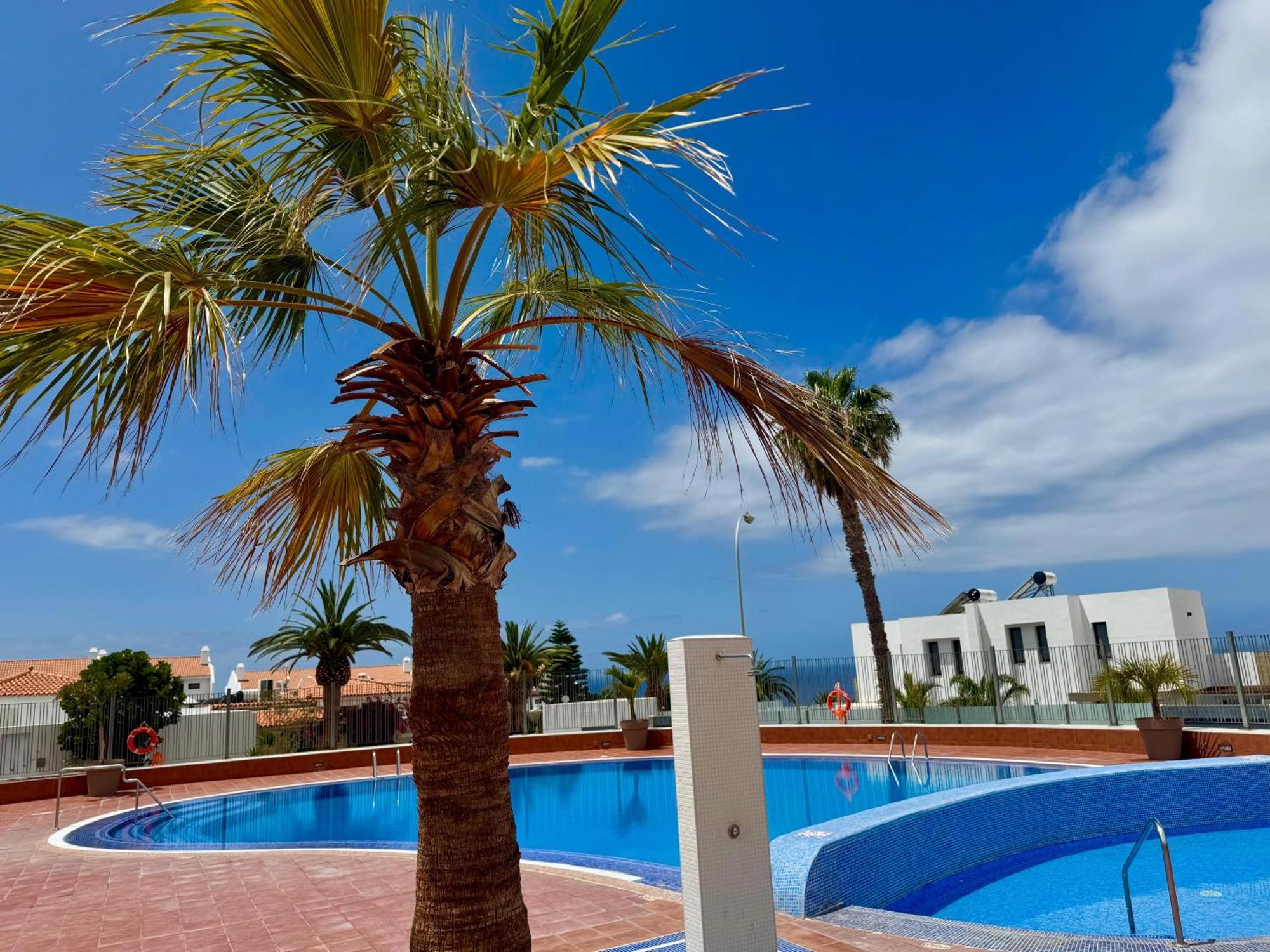 Stunning Apartments With Pool Tenerife 아데제 외부 사진