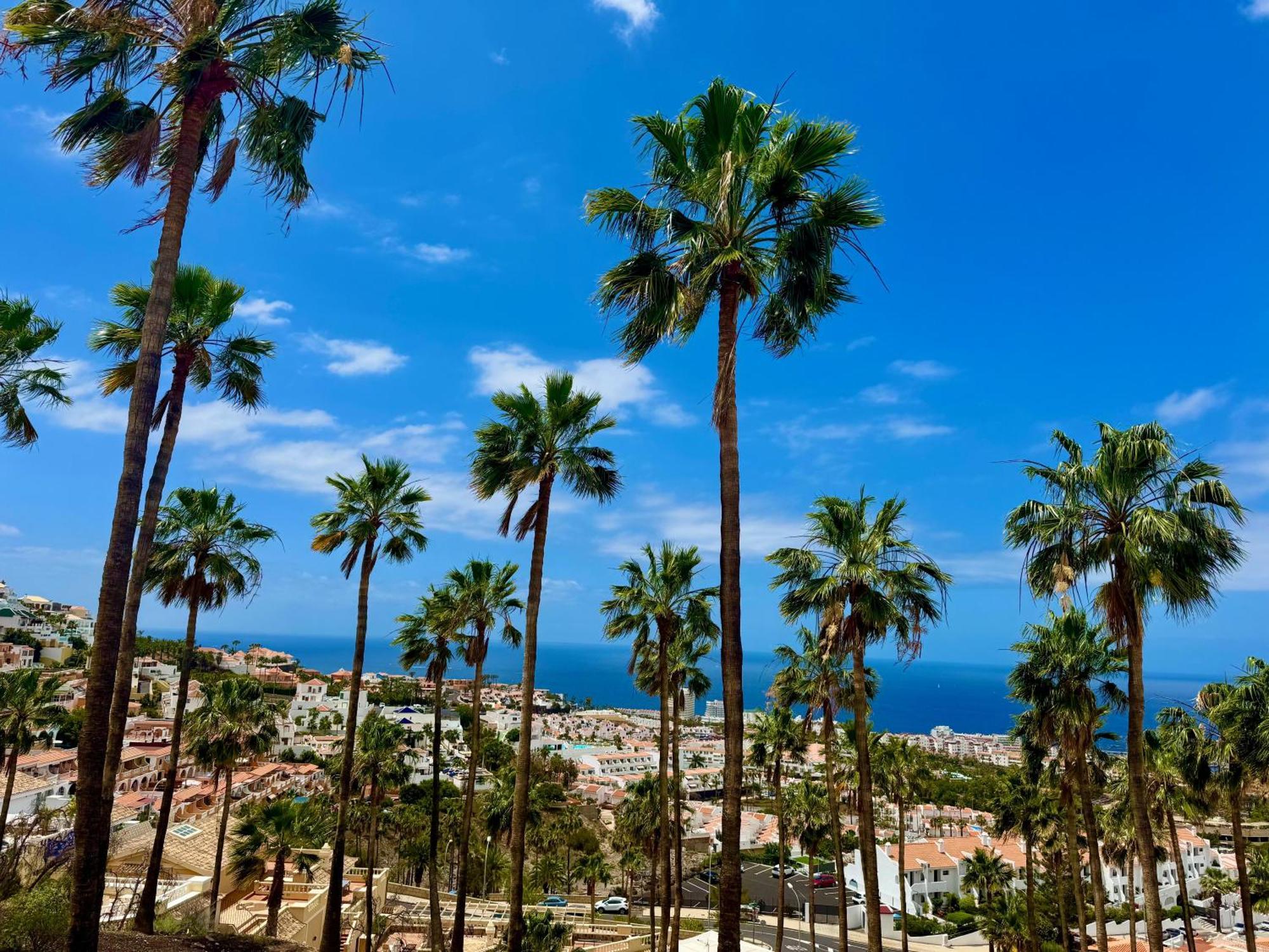 Stunning Apartments With Pool Tenerife 아데제 외부 사진